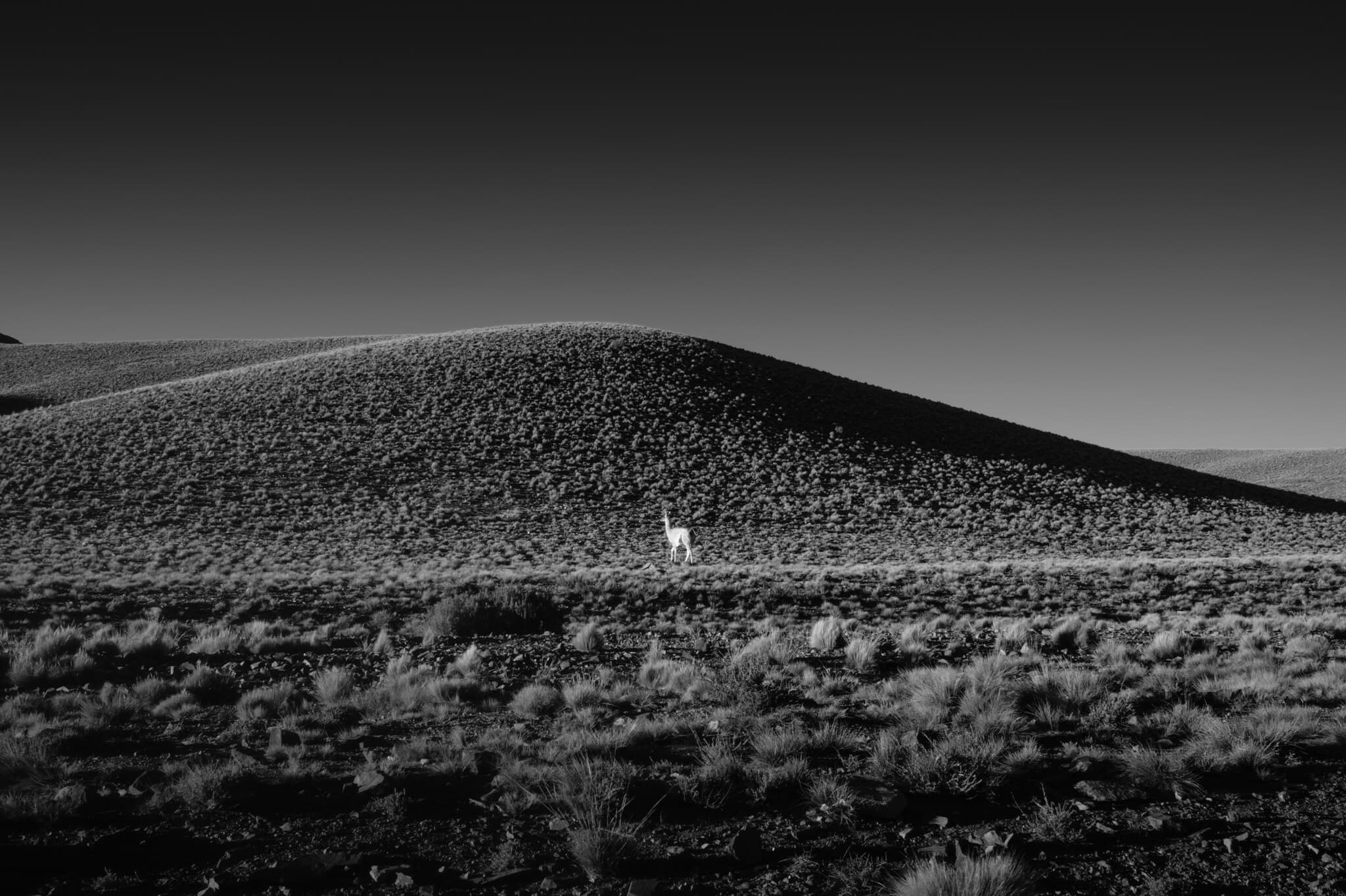 Photograph by Mauro Barrionuevo