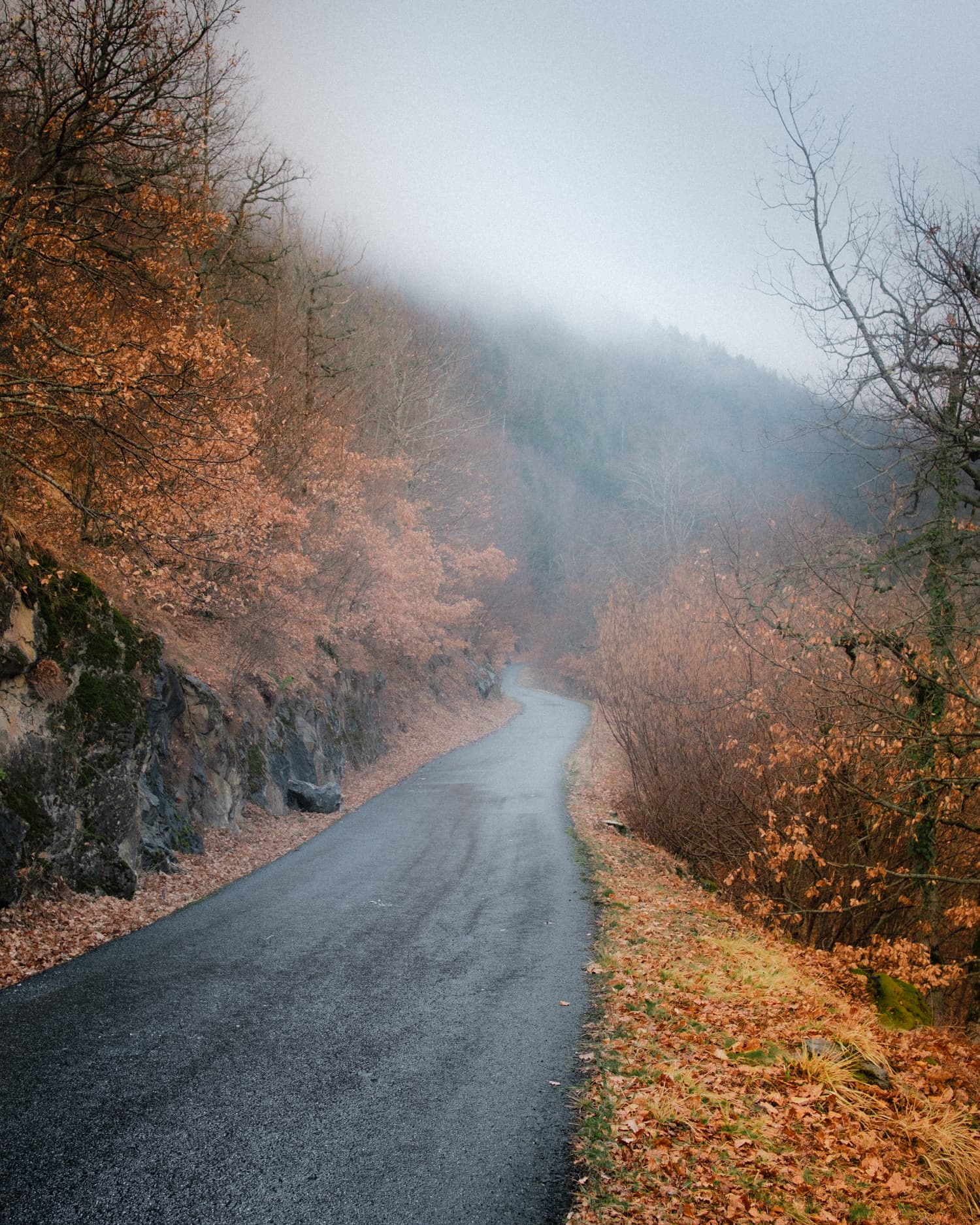 Photograph by Mauro Barrionuevo